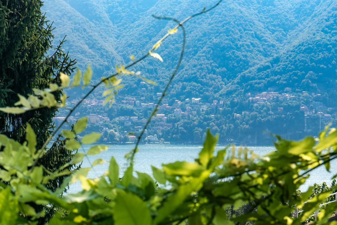 Villa Vittoria - The House Of Travelers Cernobbio Extérieur photo